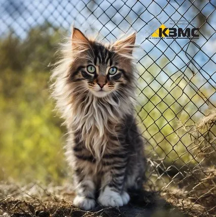 Фото №0 Сетка рабица Ø 1,6х(30х30) размер рулона 1,5х10 метров