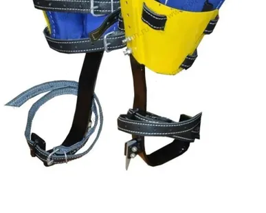 фото Древолазы