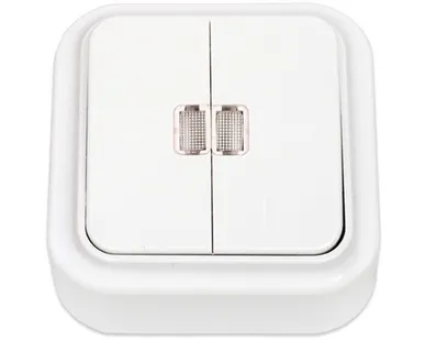 фото СВЕТОПРИБОР Выключатель Пралеска 2 клав. ОУ белый индикация 10А 250В А5 10-215 СВЕТОПРИБОР