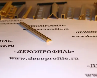 фото Вставка Progress латунь 2,7 м - Латунь шлифованная - 5х10 мм