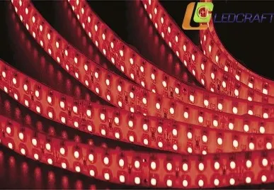 фото Светодиодная лента LC-3528-W-24R240 IP65 красный