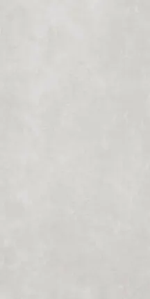 Фото №0 Плитка из керамогранита Simpolo Simpolo 120х278 серый (MPL-060877)