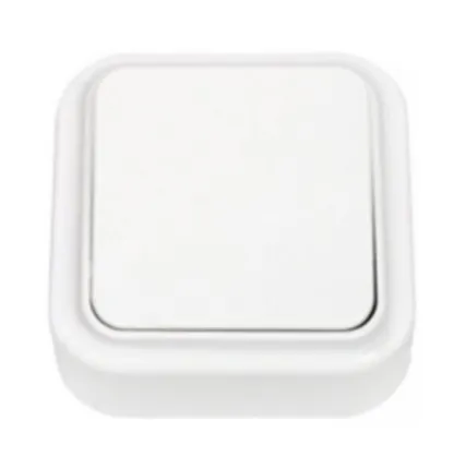 Фото №0 СВЕТОПРИБОР Выключатель Пралеска 1 клав.ОУ белый проходной 10А 250В А6 10-147 СВЕТОПРИБОР