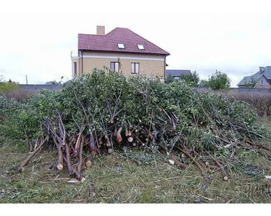 фото Расчистка участка от кустарника