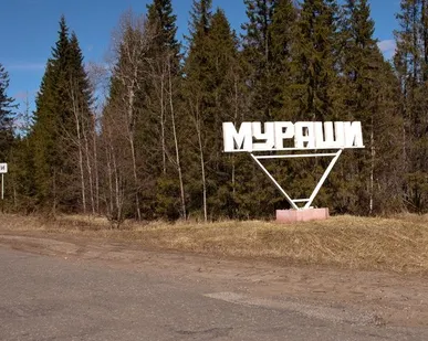 фото Грузоперевозки Мураши