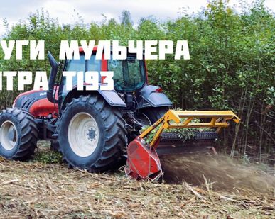 фото Аренда и услуги мульчера по расчистке