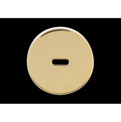 Фото №0 Крышка от нижнего корпуса ENHT03 Золотой