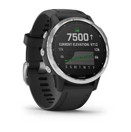 Фото №0 Часы Garmin Fenix 6S Solar серебристый с черным ремешком