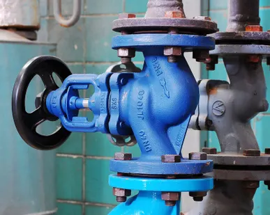 фото Клапан нержавеющий затворный "Butterfly"CN Р/C DN 65 мм с рукояткой