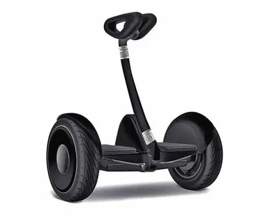 фото Сигвей Mini-Robot