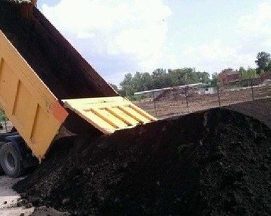 фото Доставка чернозема