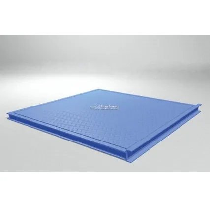 Фото №0 Весы платформенные ВСП4-2000.2 Т9 (1250х1000)