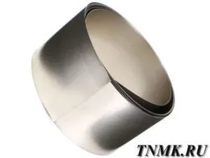 фото Лист никелевый 18 мм НП2 ГОСТ 6235-91