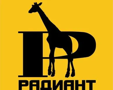 фото Леса рамные