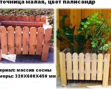 фото Цветочница уличная