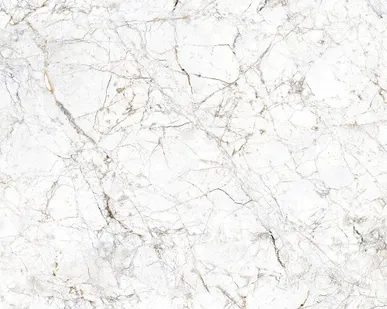 фото Керамический гранит ALMA CERAMICA Canica 600х600 GFU04CAN00R