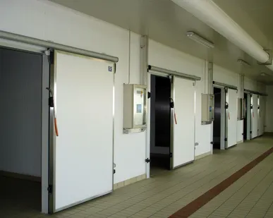 фото Дверь откатная для Холодильной камеры