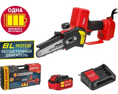 фото Пила цепная аккумуляторная бесщеточная Wortex CEC 2518/4, 18 В, шина 10 см, 1 АКБ 4 Ач, кейс
