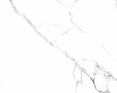 фото Керамогранит Sixty Mckinley Polished 60x60