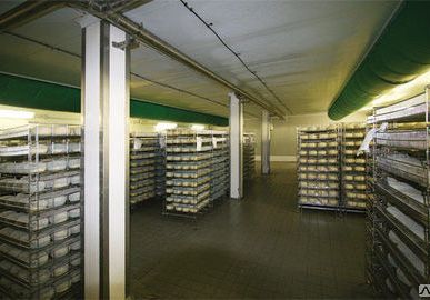фото Система поддержания влажности в холодильных установках