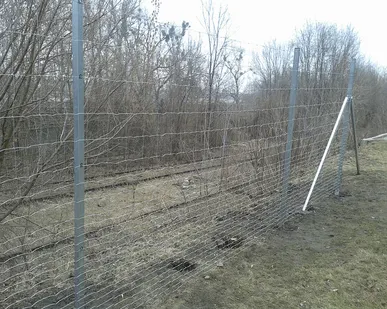 фото Сетка Шарнирная Н2,0м в рулоне 50м.п.