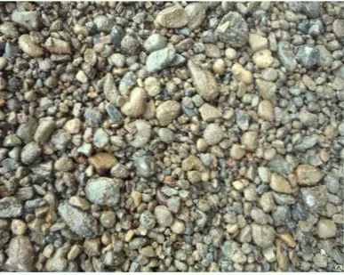 фото Гравмасса