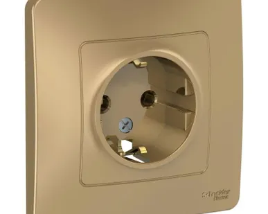 фото Розетка 1-м СП BLANCA 16А 250В без шторок с заземл. титан SchE BLNRS001014