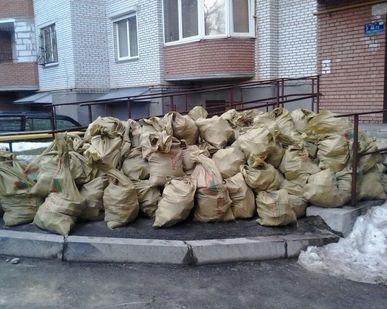 фото Вывоз мусора