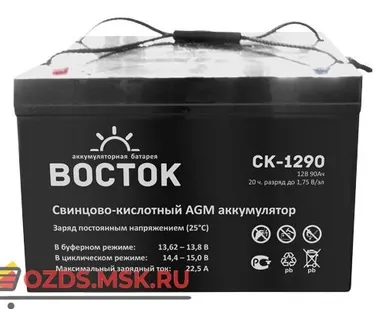 фото Восток СК-1290 Аккумулятор