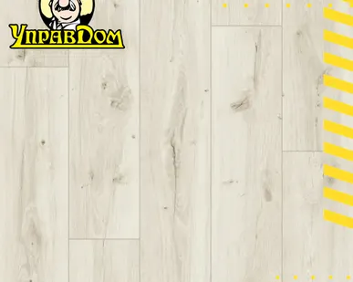 фото Ламинат Clix Clix Floor Basis CXB 599 Дуб Виши