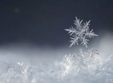 фото Вывоз снега