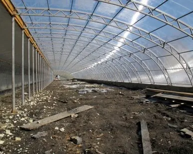 фото Теплицы