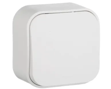 фото Выключатель 1-кл. ОП Quteo 10А IP20 10AX бел. Leg 782200