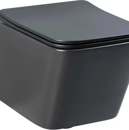 Фото №0 Унитаз подвесной безободковый Aquanet Tavr-W BW Rimless черный матовый TAVR-W BW
