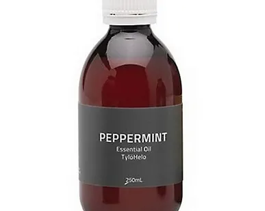 фото Ароматизатор для Tylo Fresh мята (250 мл, арт. 90024044)