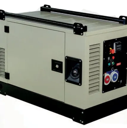 Фото №0 Бензиновый генератор Fogo FV13000CRA