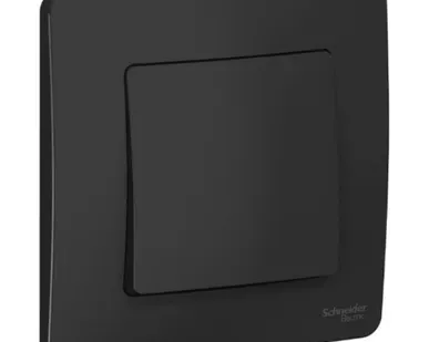 фото Schneider Electric Выключатель 1-кл. СП Blanca 10А IP20 250В антрацит BLNVS01010 Schneider Electric