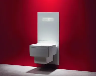 фото TECE lux Встраиваемый туалетный терминал