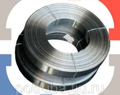 фото Лента пружинная 220 мм