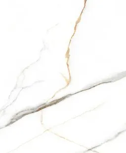 фото 32813 Керамогранит 60х120 Evolution ceramic Statuario Venato