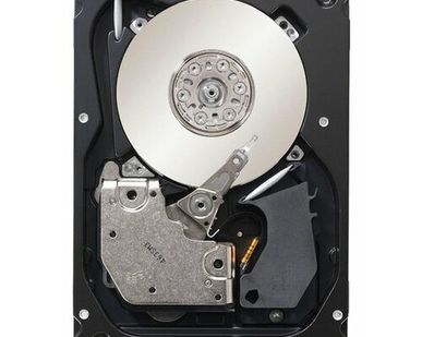 фото Жесткий диск EMC AX-2SS10-300