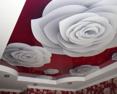 фото Французские натяжные потолки