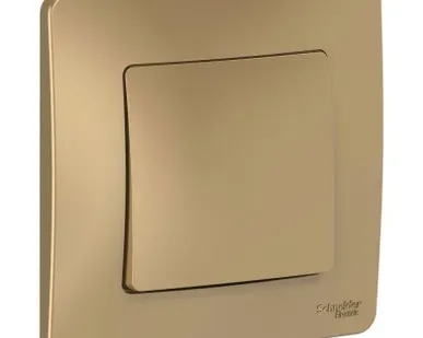 фото Выключатель 1-кл. СП Blanca 10А IP20 (сх. 1) 250В титан SchE BLNVS010104