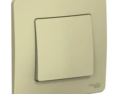 фото Переключатель 1-кл. СП Blanca 10А IP20 (сх. 6) 250В беж. SchE BLNVS010607